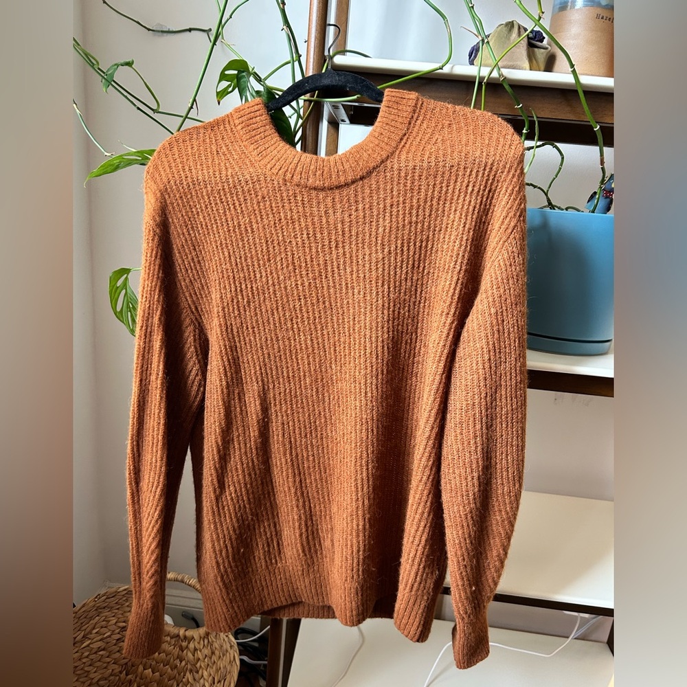 Everlane cocoon crew in alpaca